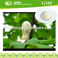 Magnolia and magnolol honokiol supplier